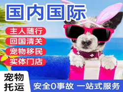 绵阳南郊国际宠物托运 【国